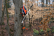 RC helicopters mounted on tree using landing skid clip clamp